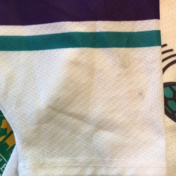 Vintage Champion Charlotte Hornets Hockey Jersey - Picture 3 of 4